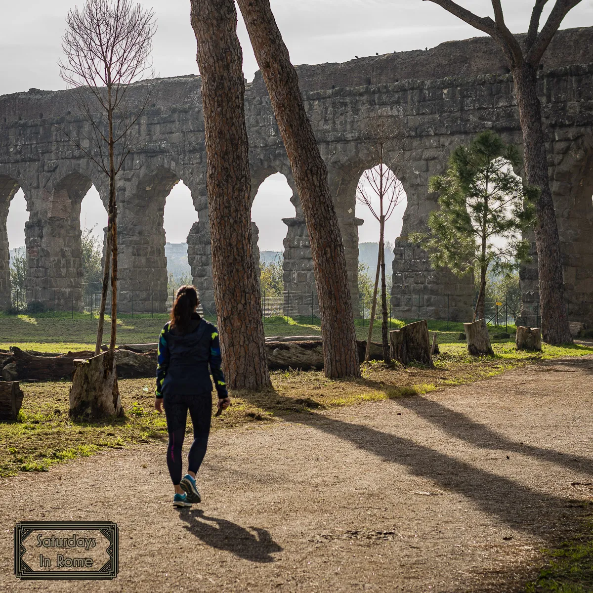 Aqueduct Park - Arches