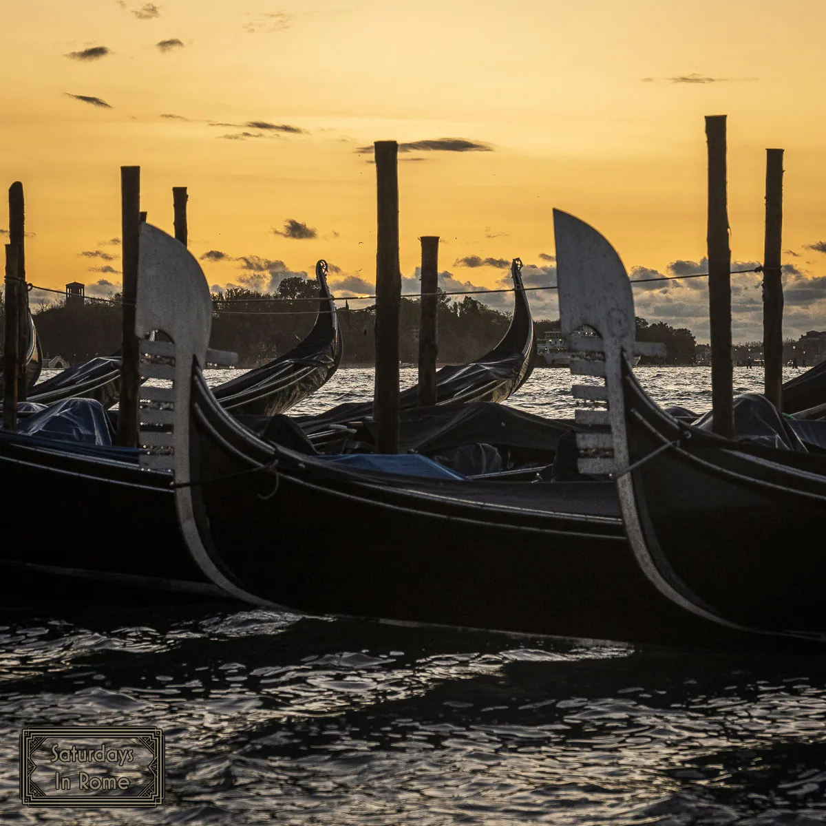 Gondolas At Dawn