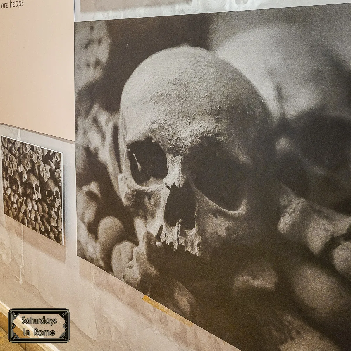 Bone Church In Rome Italy - Museum