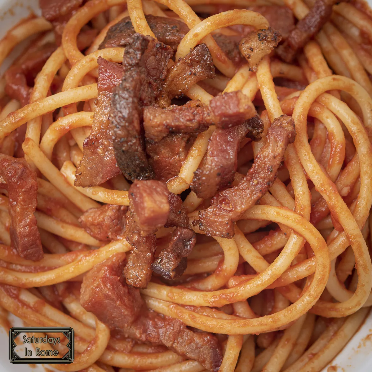 Bucatini all'Amatriciana - Not Too Saucey