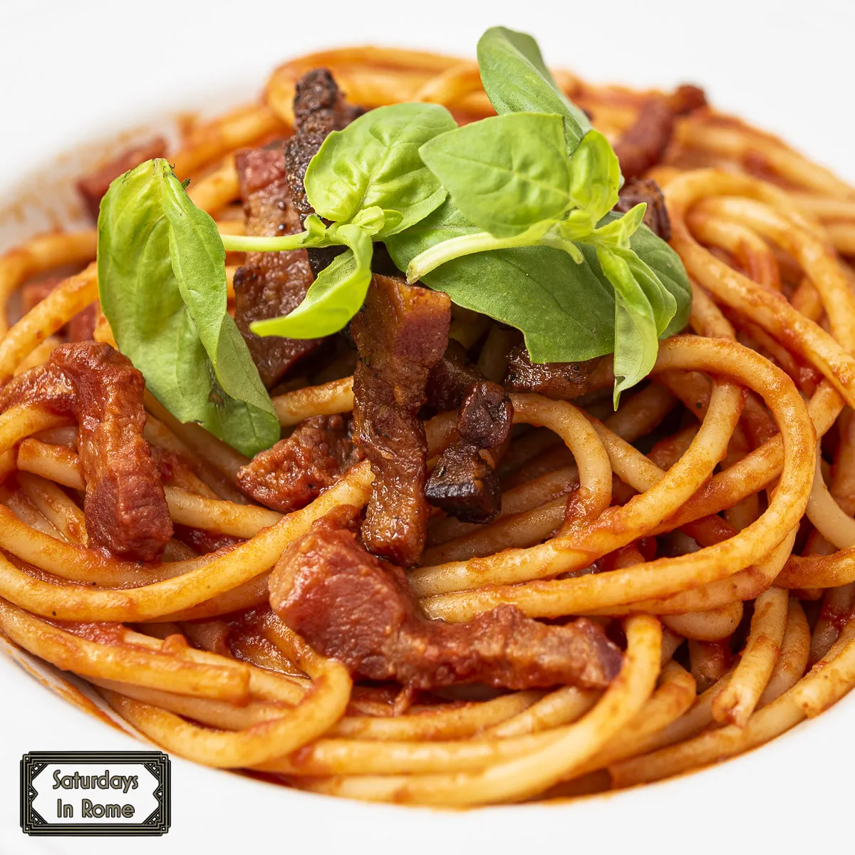 Bucatini all'Amatriciana - With Basil