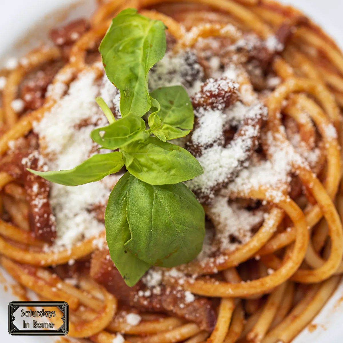 Bucatini all'Amatriciana - With Basil And Cheese