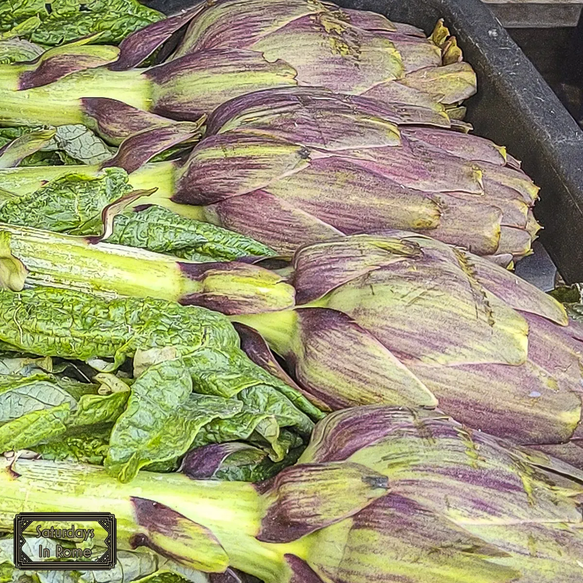 Roman vegetables - artichokes