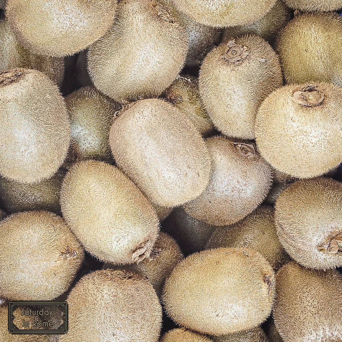 Kiwifruit In Rome