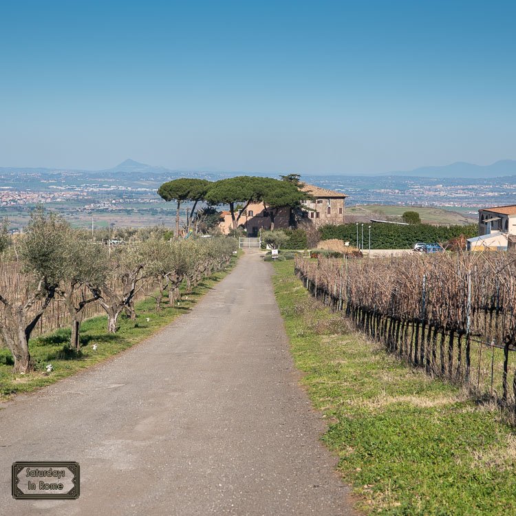 The Frascati Lazio Wine Region Is Perfect For A Tour