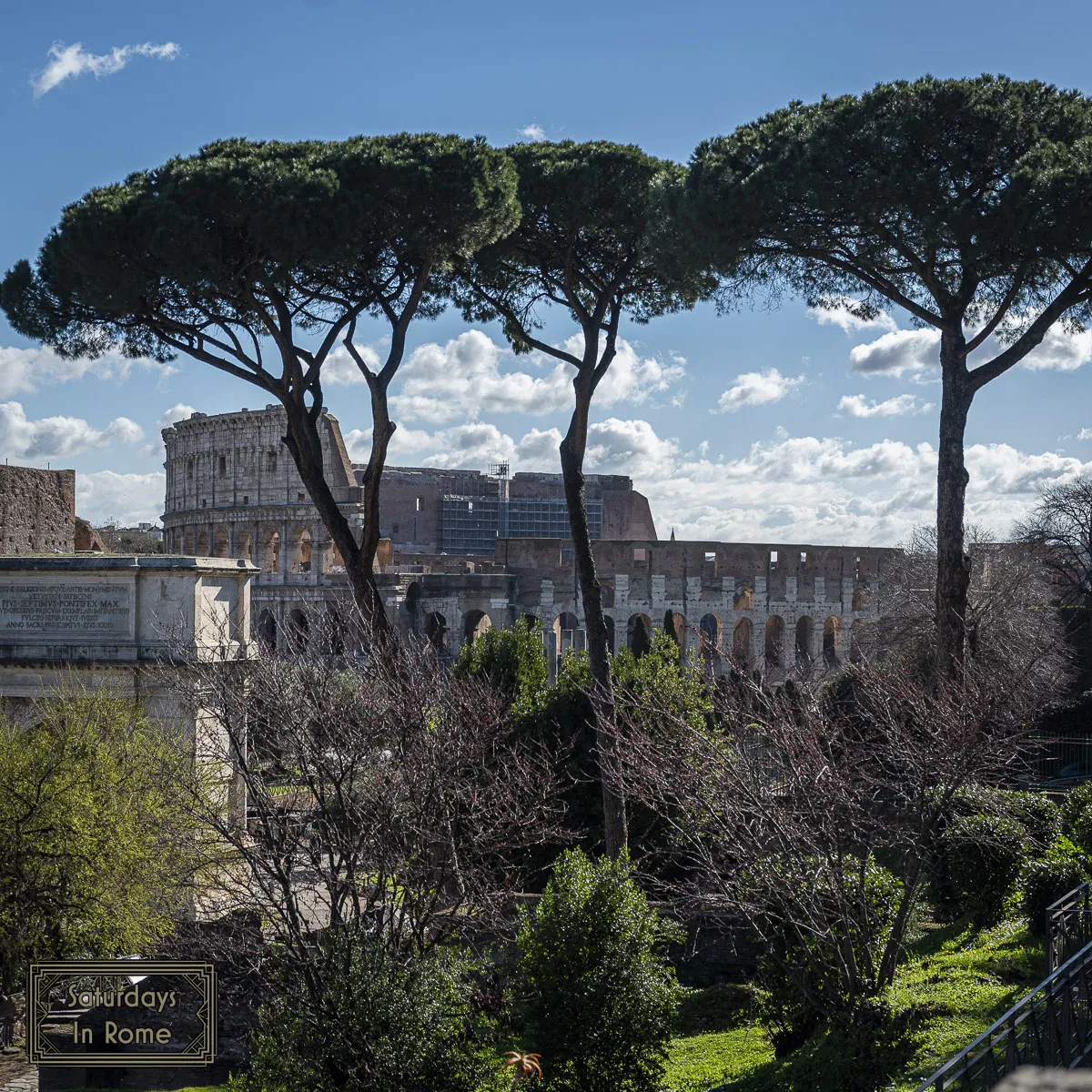 More Cool Views Of the Colosseum