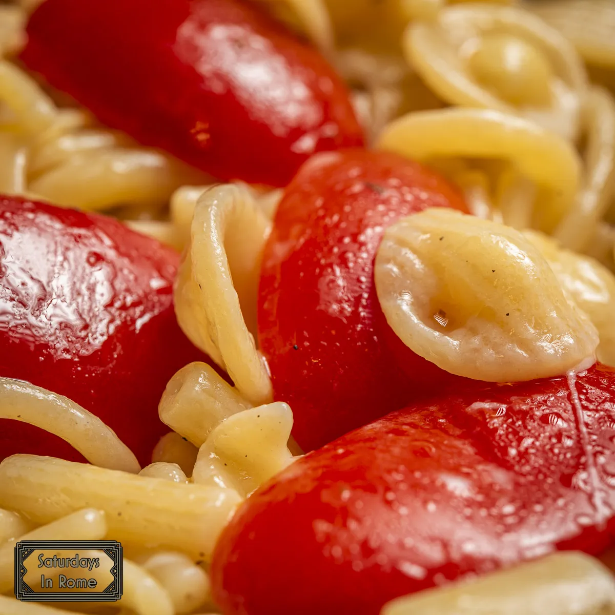 Melting cheese on pasta and tomatoes