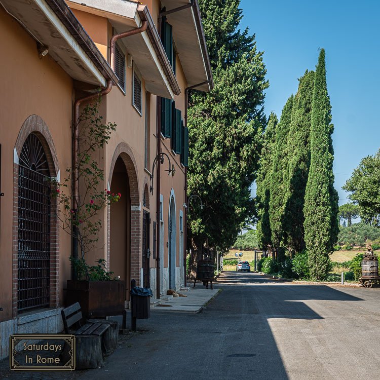 wineries near rome italy - The Cantina