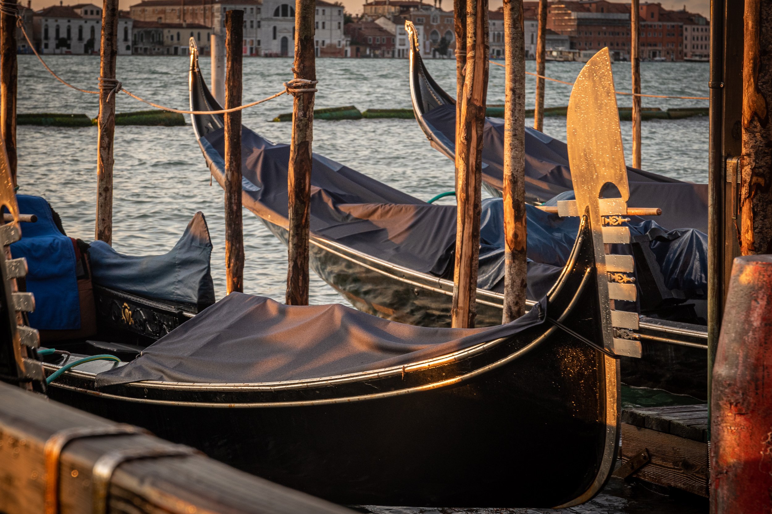 how much is a gondola ride in Venice - Gondolas Are Everywhere