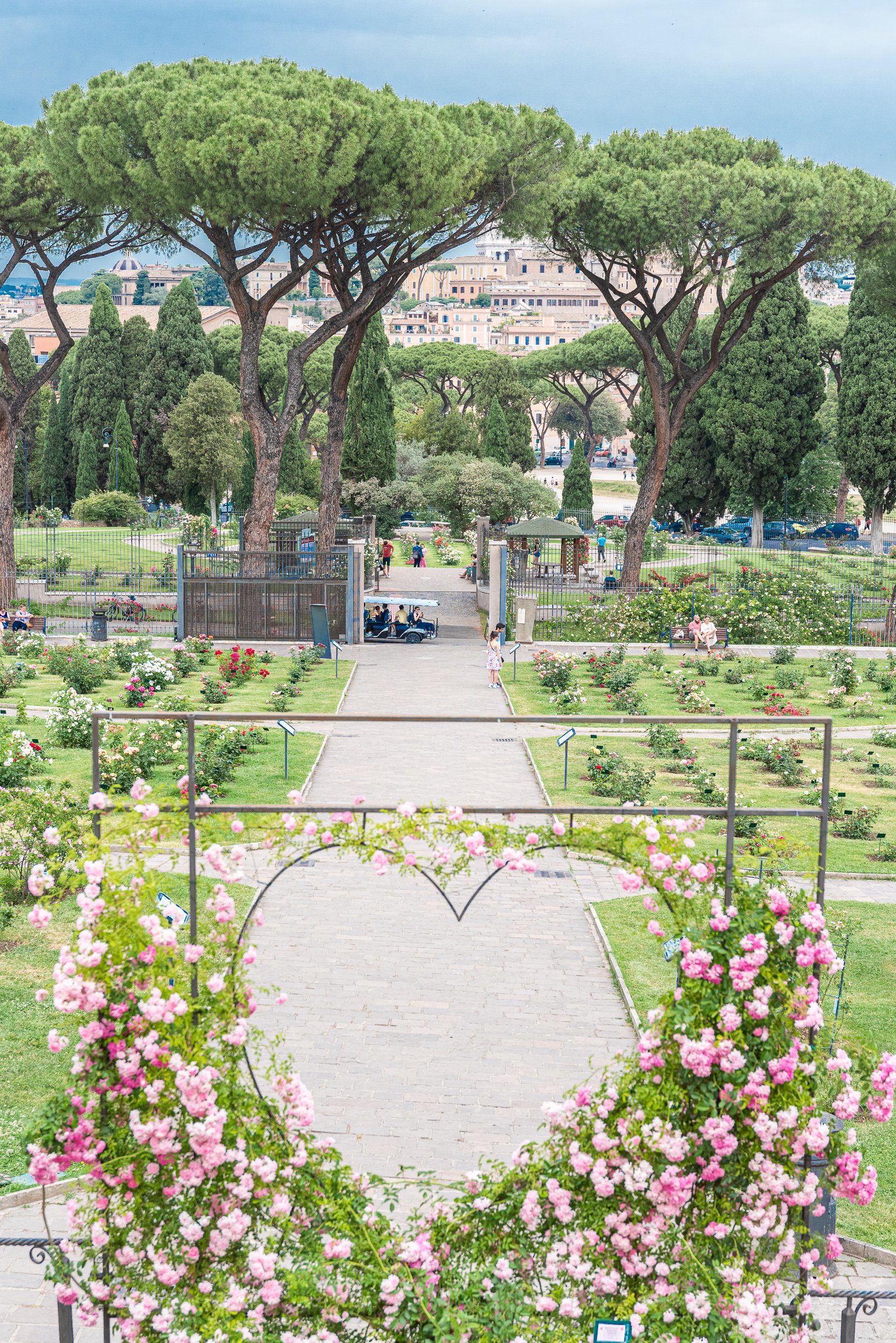 rose garden in Rome - Altare della Patria