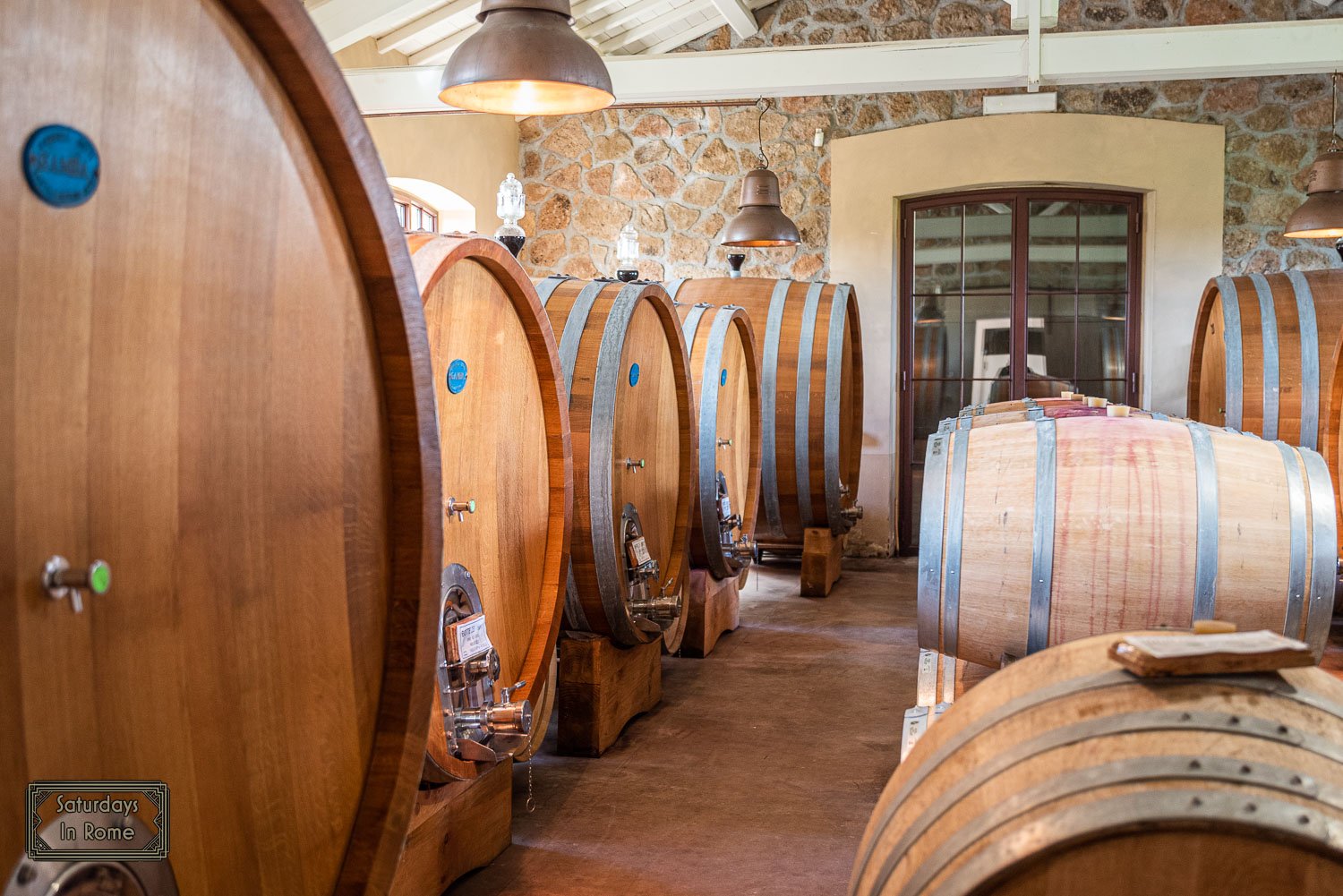 vineyards near rome italy - Barrels