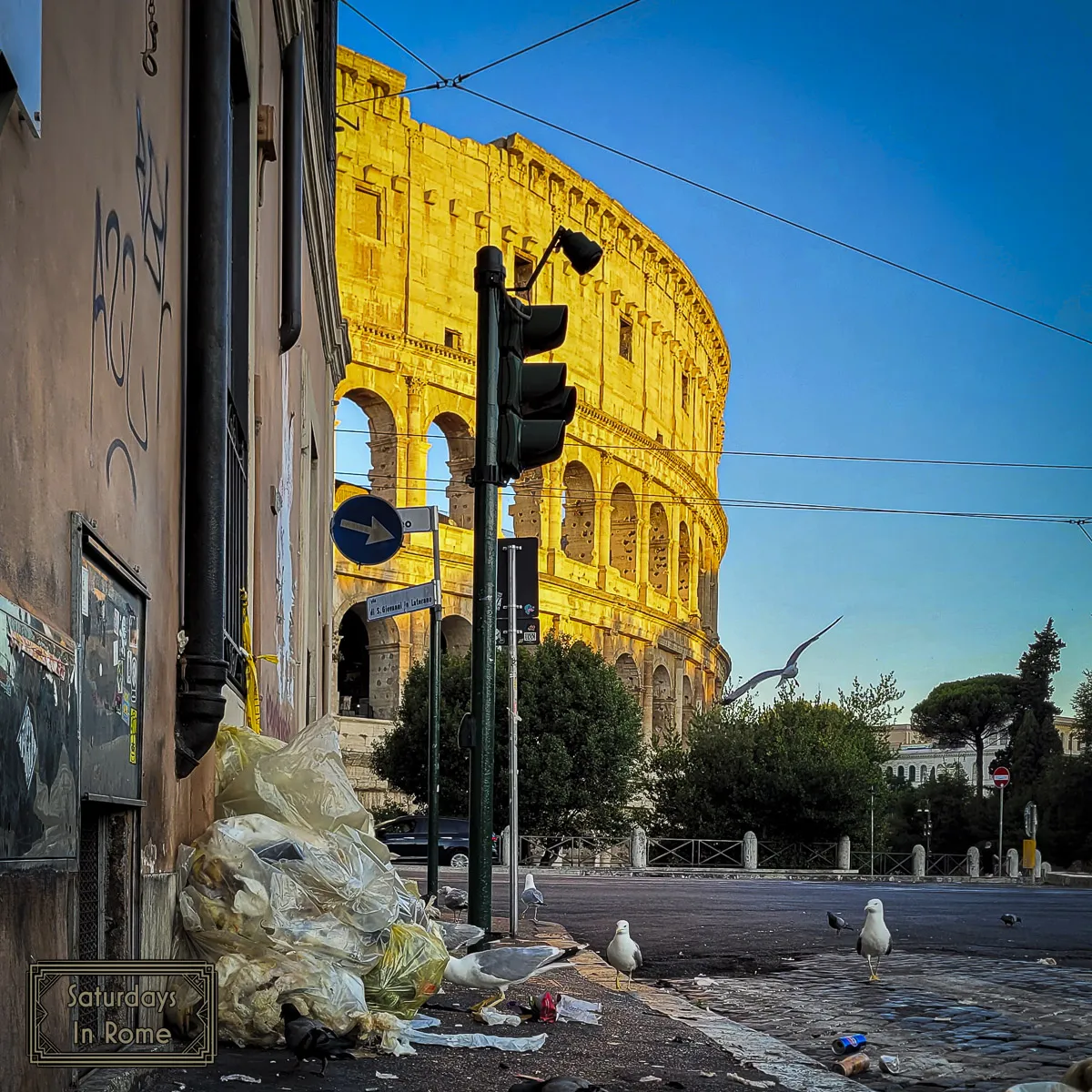 Early Morning Rome - Early Morning Garbage