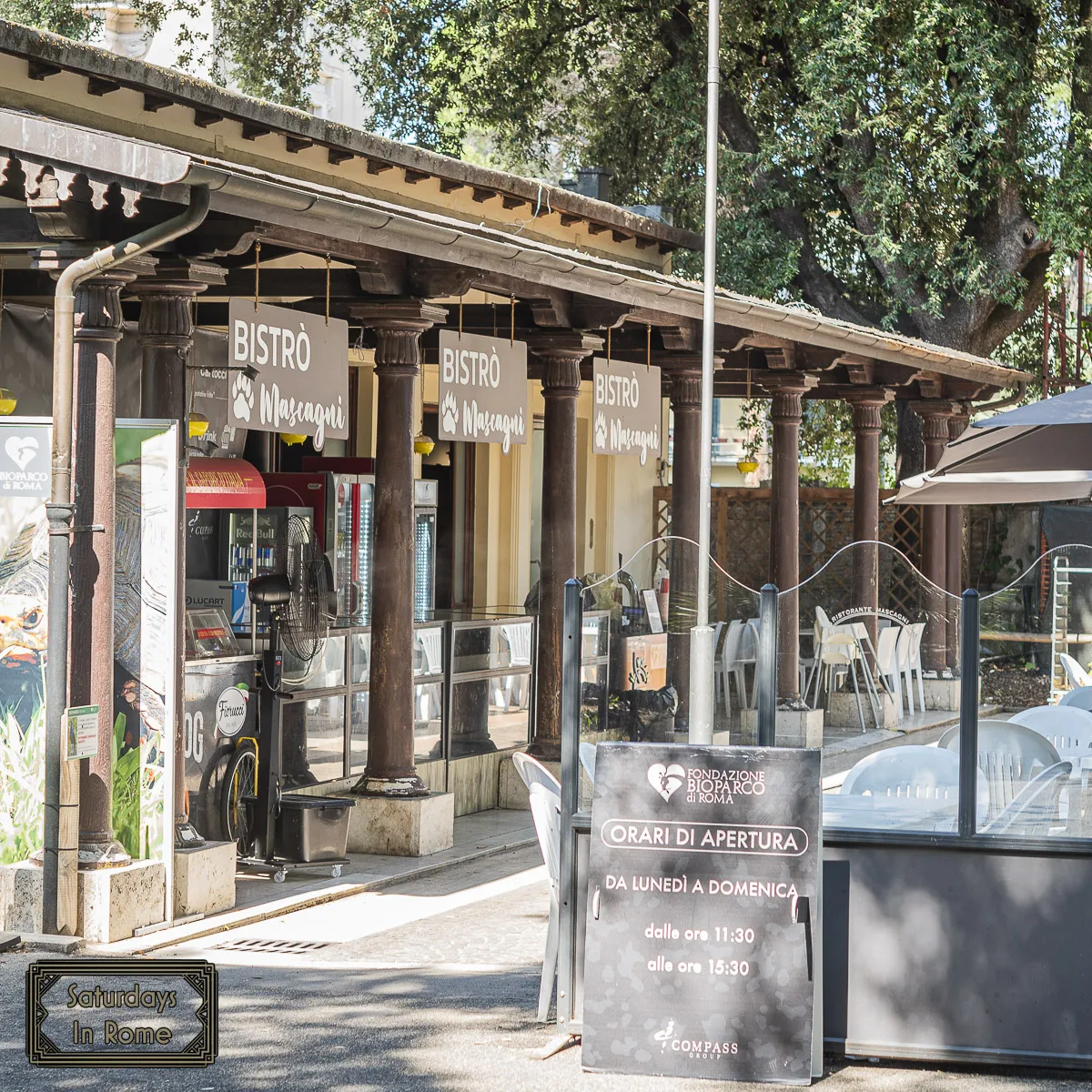 Rome Bioparco - Snackbar