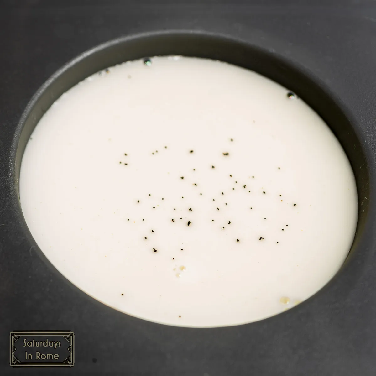 Italian Panna Cotta Recipe - Floating Vanilla Seeds