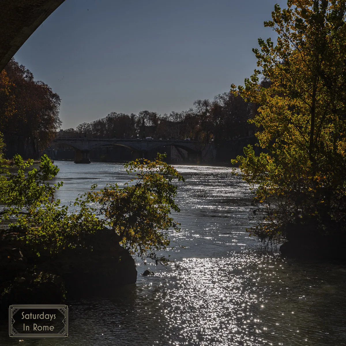 Tiber River In Rome - Nature