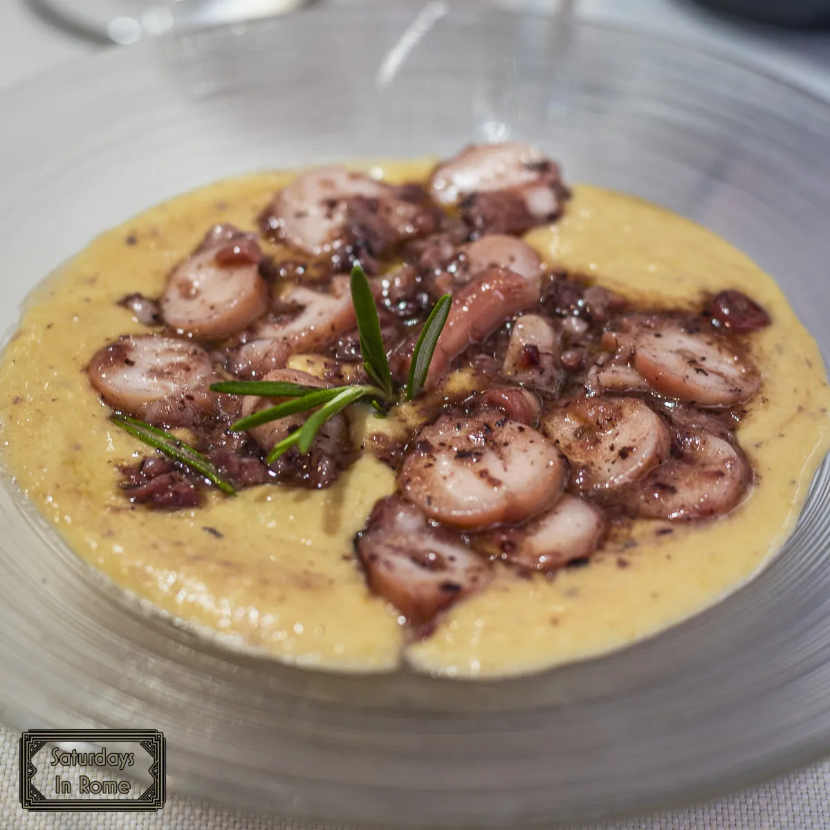 Octopus on Hummus At Trattoria Morgana